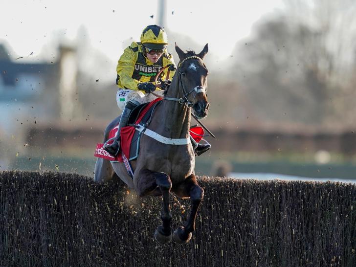 Nicky Henderson's Shishkin